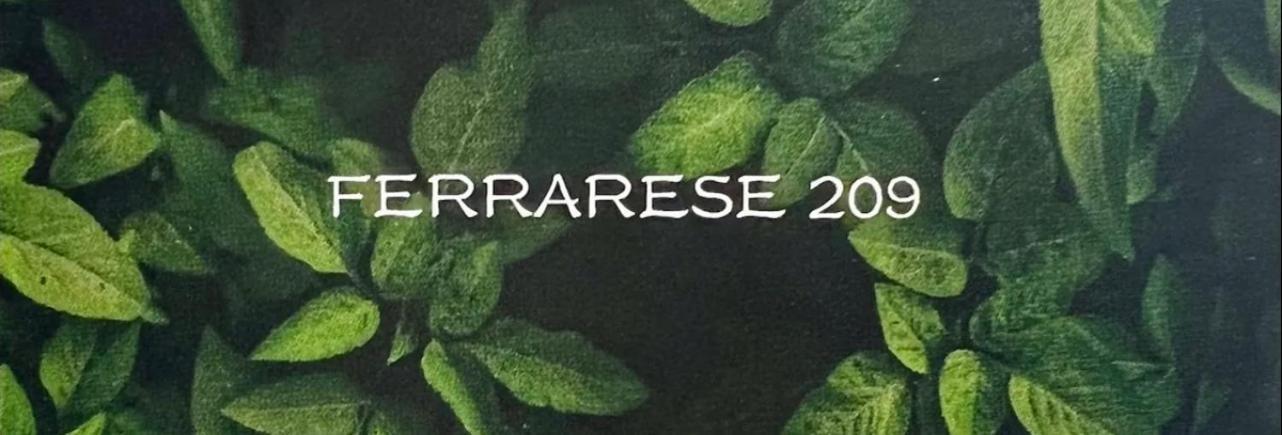 Ferrarese209 Daire Bolonya Dış mekan fotoğraf